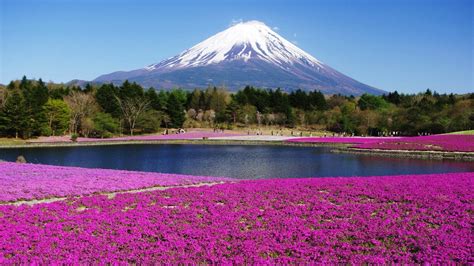 Japan Mount Fuji 2019 HD Desktop Wallpapers – YL Computing