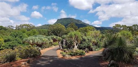 Top 5 things to do in Wollongong Botanic Garden