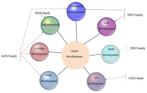 Master regulator genes and their impact on major diseases [PeerJ]