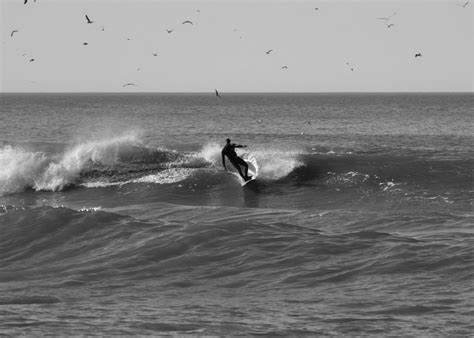 Porto surfing holiday: The best city surf camp in Portugal?