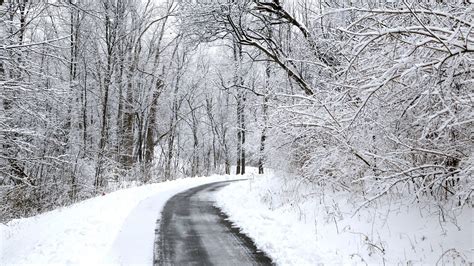 Ohio snowfall totals from January 22-23 storm