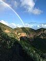 Category:Caldera de Bandama - Wikimedia Commons