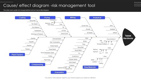 Quality Testing Cause Effect Diagram Risk Management Tool Ppt Summary Demonstration