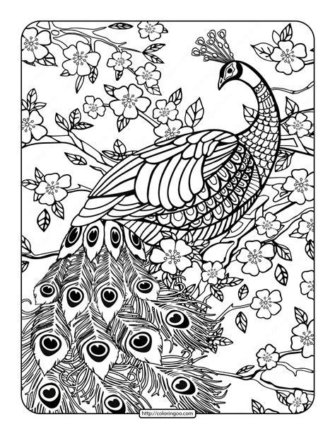 Free Printables Peacock Coloring Page