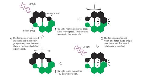 What are Molecular Machines?