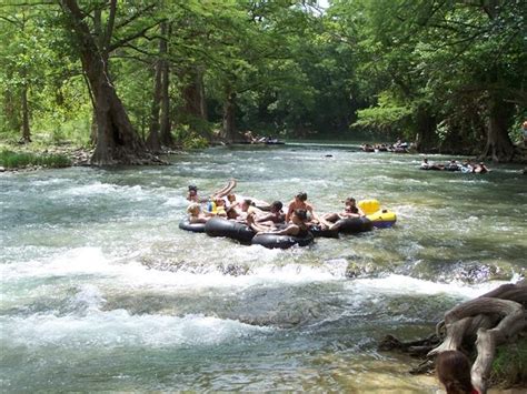 Tubing on Guadalupe River - Bulverde/Spring Branch Texas EDF