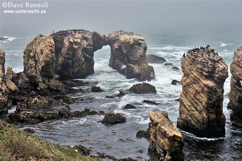 Sea Caves – National Speleological Society