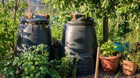 Compost Tea For Your Indoor Garden