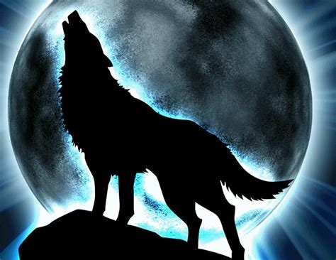Mejores 100 Fondos de Pantalla Lobo | Fondos de Pantalla | Fantasy wolf, Wolf silhouette, Wolf ...