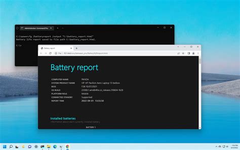 Windows 11 Battery App