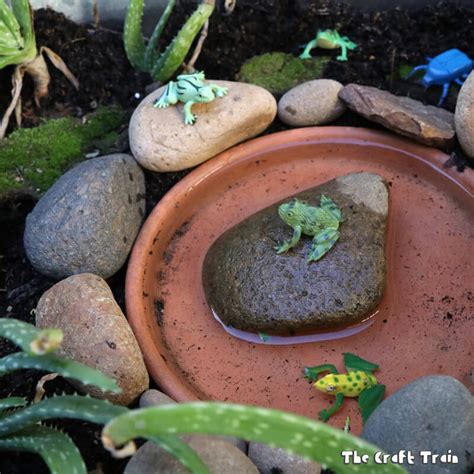 How to build a frog habitat - kobo building