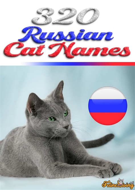 320 Best Russian Cat Names For Your Feline Comrade