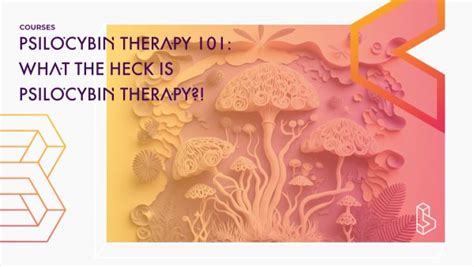 Psilocybin Therapy 101: What The Heck is Psilocybin Therapy?!