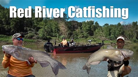 Red River Catfishing - Angler HQ