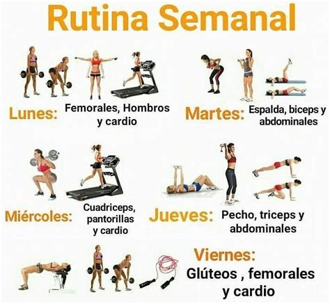 Cómo organizar tu rutina semanal en el gym | Rutinas de ejercicio, Rutinas de ejercicio gimnasio ...