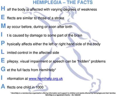 Kids Can Face Aphasia Caused by Hemiplegia: Treatment Options for Stroke-Like Damage to Children ...