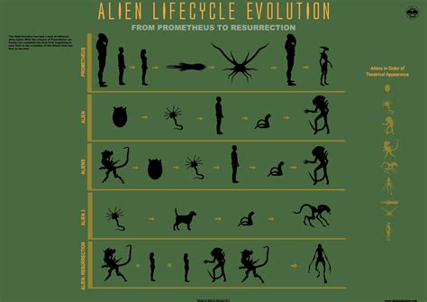 The Alien Lifecycle Evolution Infographic by mauricem.deviantart.com | Alien resurrection, Alien ...