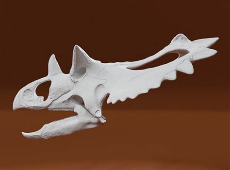 Utahceratops Skull- 1/18th scale replica (RM4LN7NEJ) by creativebeaststudio