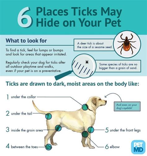 You can take your tick prevention 1 step further, and check your dog after every hike! # ...