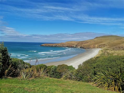 Beaches & Bays In Dunedin | localista