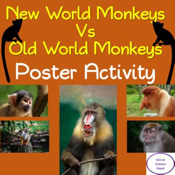 New World Monkeys vs. Old World Monkeys Poster Activity by SciLee ...