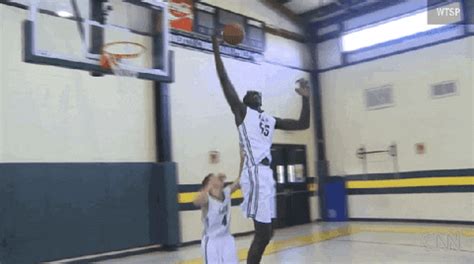 Elhadji Tacko Fall GIFs - Find & Share on GIPHY