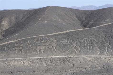 Lines and Geoglyphs (3) | Nazca | Pictures | Peru in Global-Geography