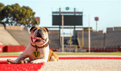 Victor E. Bulldog III - Fresno State Alumni