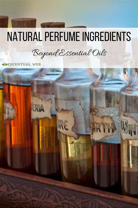 Natural Perfume Ingredients-Beyond Essential Oils - Escentual Web ...