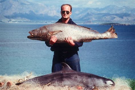 Aquarium of the Pacific | Seafood for the Future | Vaquita and Totoaba