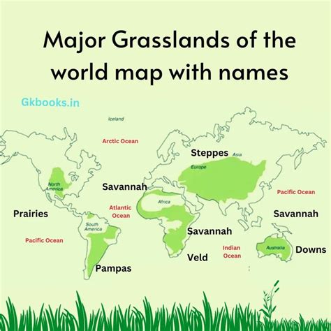 grasslands of the world | Geography lessons, Basic geography, Study flashcards