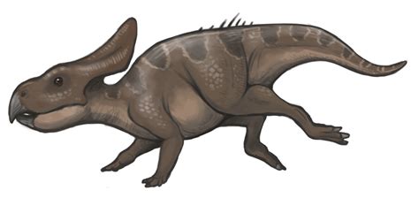 Protoceratops andrewsi | Dinossauros, Pré história, Animais