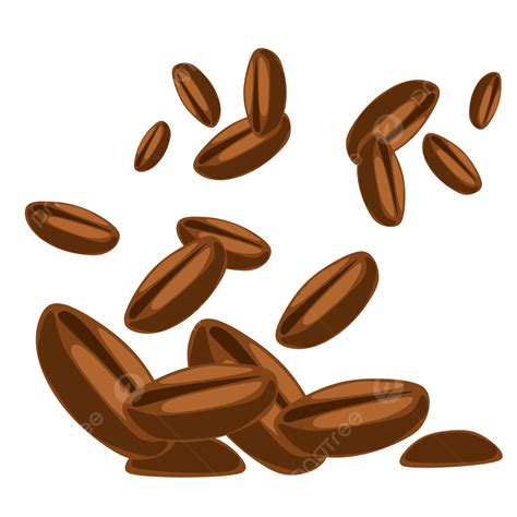 Gambar Brown Coffee Beans Falling Vector Illustration, Biji Kopi Coklat, Vektor, Ilustrasi PNG ...