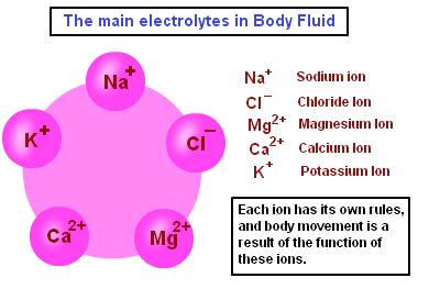 Electrolytes - They Charge Your Engine! - Shadetree Homestead