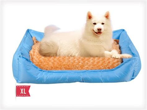 Outdoor / Indoor Waterproof Dog Bed - XL 100x80cm @ Crazy Sales - We ...