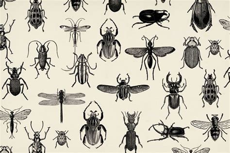 Pin by Sarah on walls | Bug wall, Pattern illustration, Wallpaper