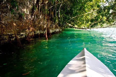 Kayaking the Río Dulce Out to Sea