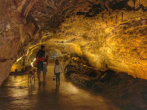 Visiting the Dan-yr-Ogof caves in Wales - everything you need to know - Tin Box Traveller