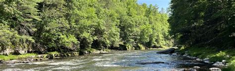 Neversink River via Red Trail, New York - 44 Reviews, Map | AllTrails