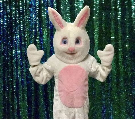 Easter Bunny Costume Rental San Francisco California Bay Area