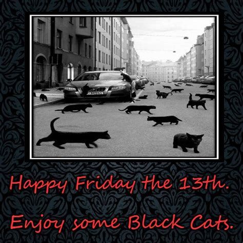 Happy Friday 13th Black Cat