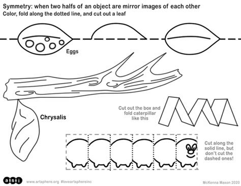 Caterpillar Life Cycle Handout | Art Sphere Inc.