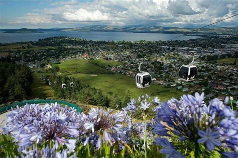 Nice Evening with Family - Skyline Rotorua, Rotorua Traveller Reviews ...