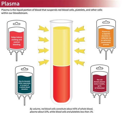 Covid-19 patient turned plasma donor seeking to help others recover - Stabroek News