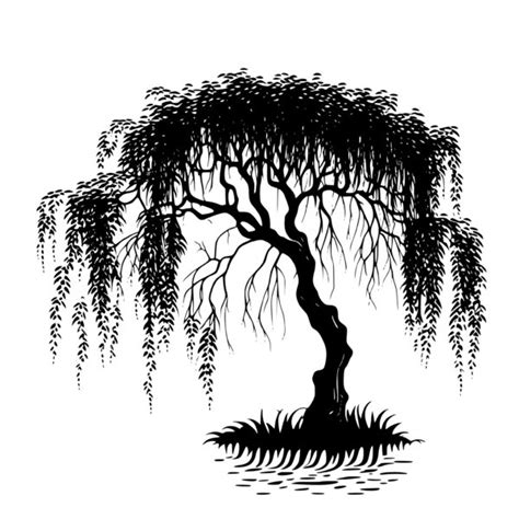 Willow Tree SVG File: Instant Download for Cricut, Silhouette, Laser