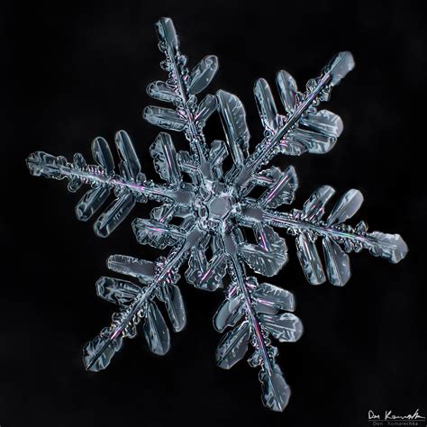 Gallery of 100s of the best Snowflake Images | Sky Crystals | Sky Crystals Snowflake Images ...