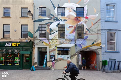 Street Artists transform Waterford City into an open air gallery for Waterford Walls ...