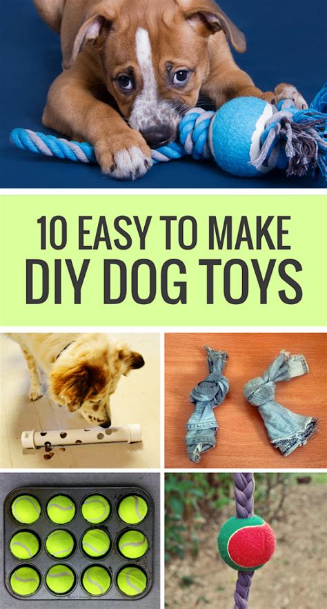 10 Easy to Make DIY Dog Toys - Puppy Leaks