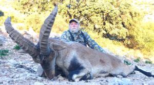 The Four Types of Spanish Ibex - Top End Adventures