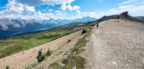 Bald Hills Trail Hike, Jasper National Park | Hike Bike Travel